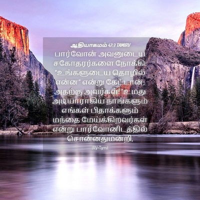 Picture 04 - ஆதியாகமம் 47:3 TAMIRV - பார்வோன் அவனுடைய - Bible Verse Picture