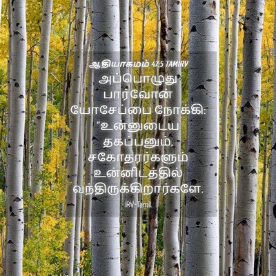 Picture 04 - ஆதியாகமம் 47:5 TAMIRV - அப்பொழுது - Bible Verse Picture