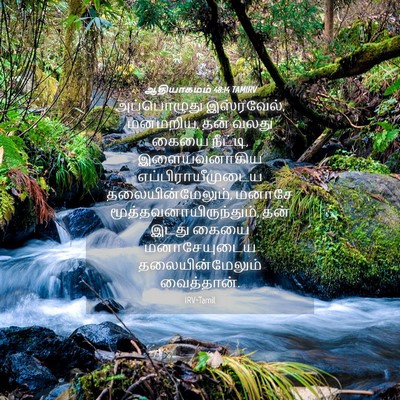 Picture 04 - ஆதியாகமம் 48:14 TAMIRV - அப்பொழுது - Bible Verse Picture