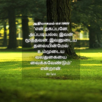 Picture 04 - ஆதியாகமம் 48:18 TAMIRV - “என் தகப்பனே, - Bible Verse Picture