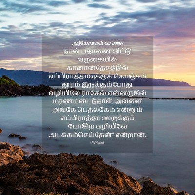 Picture 04 - ஆதியாகமம் 48:7 TAMIRV - நான் பதானை விட்டு - Bible Verse Picture