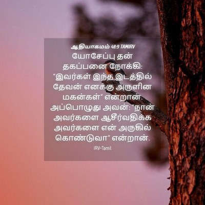 Picture 04 - ஆதியாகமம் 48:9 TAMIRV - யோசேப்பு தன் - Bible Verse Picture