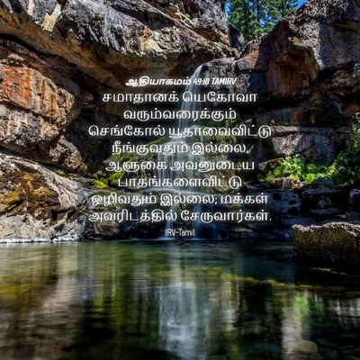 Picture 04 - ஆதியாகமம் 49:10 TAMIRV - சமாதானக் யெகோவா - Bible Verse Picture