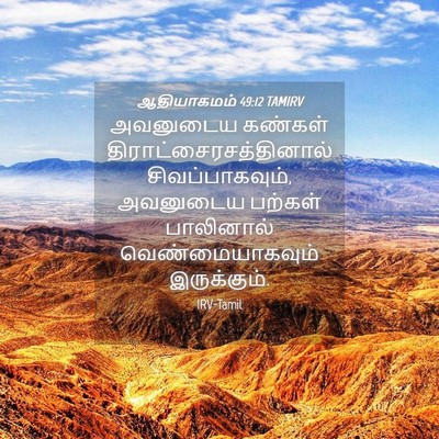 Picture 04 - ஆதியாகமம் 49:12 TAMIRV - அவனுடைய கண்கள் - Bible Verse Picture