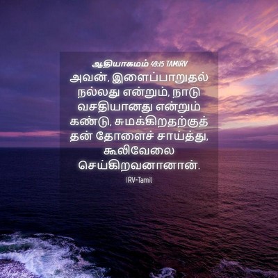 Picture 04 - ஆதியாகமம் 49:15 TAMIRV - அவன், - Bible Verse Picture