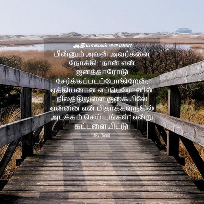 Picture 04 - ஆதியாகமம் 49:29 TAMIRV - பின்னும் அவன் - Bible Verse Picture