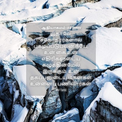 Picture 04 - ஆதியாகமம் 49:8 TAMIRV - யூதாவே, - Bible Verse Picture