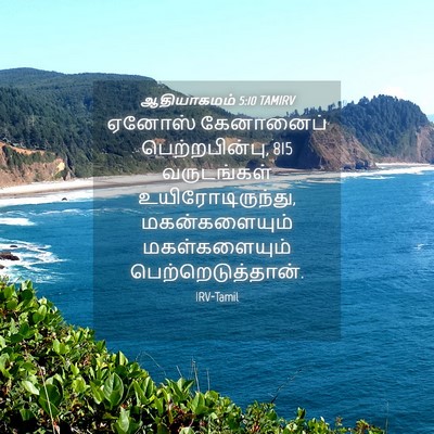 Picture 04 - ஆதியாகமம் 5:10 TAMIRV - ஏனோஸ் கேனானைப் - Bible Verse Picture