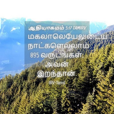 Picture 04 - ஆதியாகமம் 5:17 TAMIRV - மகலாலெயேலுடைய - Bible Verse Picture