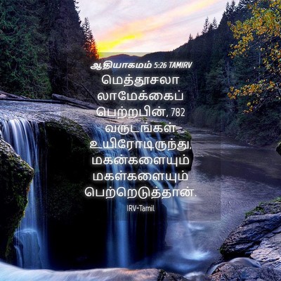 Picture 04 - ஆதியாகமம் 5:26 TAMIRV - மெத்தூசலா - Bible Verse Picture