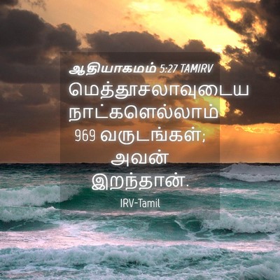 Picture 04 - ஆதியாகமம் 5:27 TAMIRV - மெத்தூசலாவுடைய - Bible Verse Picture