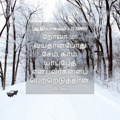 Picture 04 - ஆதியாகமம் 5:32 TAMIRV - நோவா 500 வயதானபோது - Bible Verse Picture