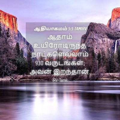 Picture 04 - ஆதியாகமம் 5:5 TAMIRV - ஆதாம் - Bible Verse Picture
