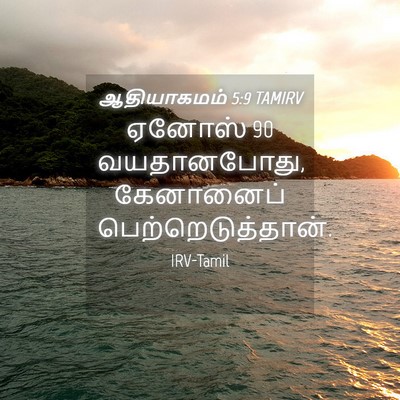 Picture 04 - ஆதியாகமம் 5:9 TAMIRV - ஏனோஸ் 90 வயதானபோது, - Bible Verse Picture
