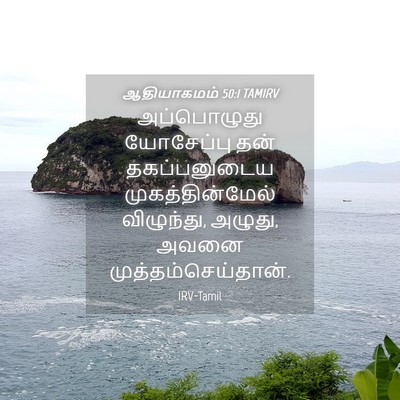 Picture 04 - ஆதியாகமம் 50:1 TAMIRV - அப்பொழுது - Bible Verse Picture
