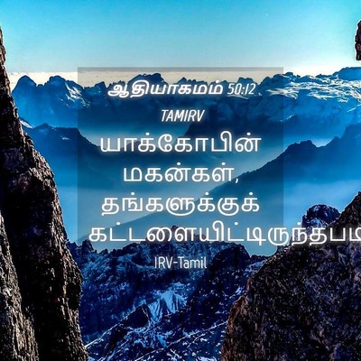 Picture 04 - ஆதியாகமம் 50:12 TAMIRV - யாக்கோபின் - Bible Verse Picture