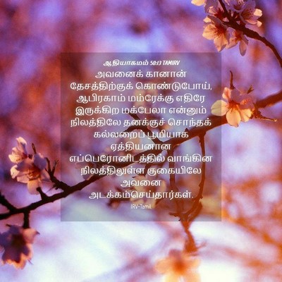Picture 04 - ஆதியாகமம் 50:13 TAMIRV - அவனைக் கானான் - Bible Verse Picture