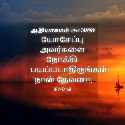 Picture 04 - ஆதியாகமம் 50:19 TAMIRV - யோசேப்பு அவர்களை - Bible Verse Picture