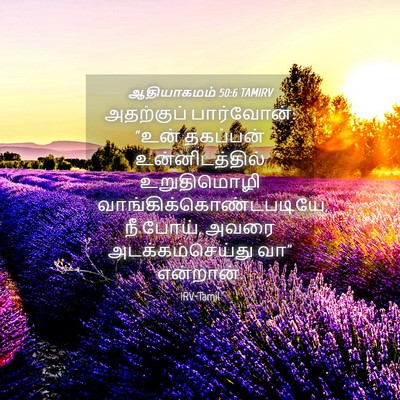 Picture 04 - ஆதியாகமம் 50:6 TAMIRV - அதற்குப் - Bible Verse Picture