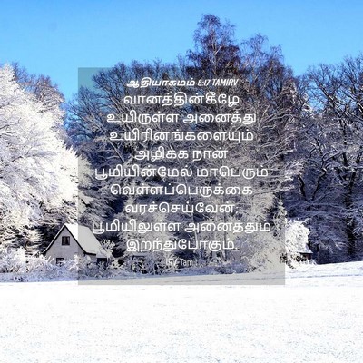Picture 04 - ஆதியாகமம் 6:17 TAMIRV - வானத்தின்கீழே - Bible Verse Picture