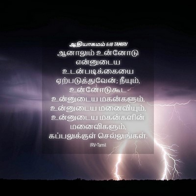 Picture 04 - ஆதியாகமம் 6:18 TAMIRV - ஆனாலும் உன்னோடு - Bible Verse Picture