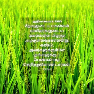 Picture 04 - ஆதியாகமம் 6:2 TAMIRV - தேவனுடைய மகன்கள் - Bible Verse Picture
