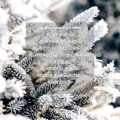 Picture 04 - ஆதியாகமம் 6:21 TAMIRV - உனக்கும் - Bible Verse Picture