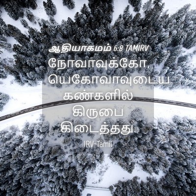 Picture 04 - ஆதியாகமம் 6:8 TAMIRV - நோவாவுக்கோ, - Bible Verse Picture