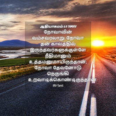 Picture 04 - ஆதியாகமம் 6:9 TAMIRV - நோவாவின் - Bible Verse Picture