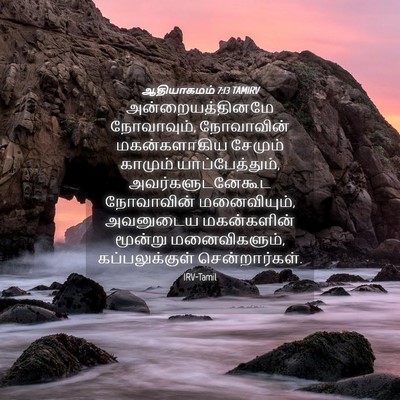 Picture 04 - ஆதியாகமம் 7:13 TAMIRV - அன்றையத்தினமே - Bible Verse Picture