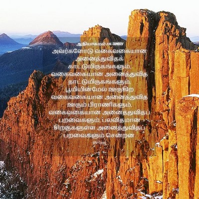 Picture 04 - ஆதியாகமம் 7:14 TAMIRV - அவர்களோடு - Bible Verse Picture