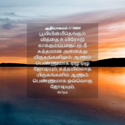 Picture 04 - ஆதியாகமம் 7:2 TAMIRV -  - Bible Verse Picture