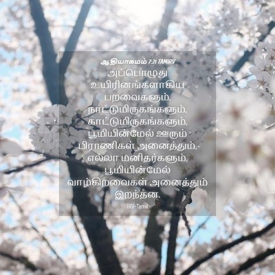 Picture 04 - ஆதியாகமம் 7:21 TAMIRV - அப்பொழுது - Bible Verse Picture