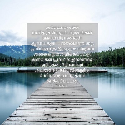 Picture 04 - ஆதியாகமம் 7:23 TAMIRV - மனிதர்கள்முதல் - Bible Verse Picture