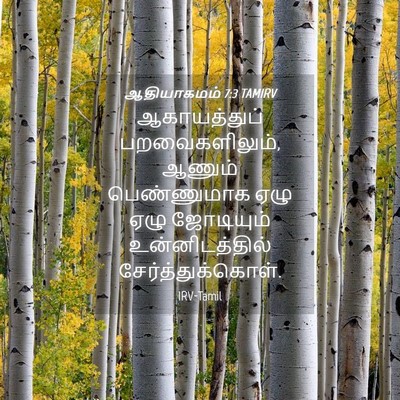 Picture 04 - ஆதியாகமம் 7:3 TAMIRV - ஆகாயத்துப் - Bible Verse Picture