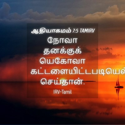 Picture 04 - ஆதியாகமம் 7:5 TAMIRV - நோவா தனக்குக் - Bible Verse Picture