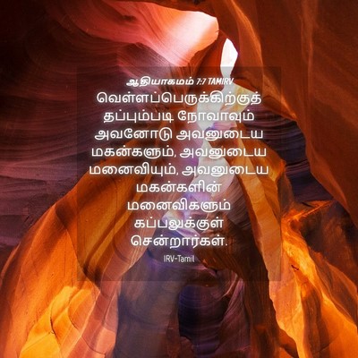 Picture 04 - ஆதியாகமம் 7:7 TAMIRV -  - Bible Verse Picture