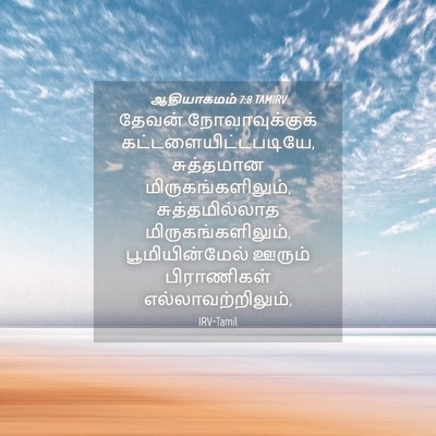 Picture 04 - ஆதியாகமம் 7:8 TAMIRV - தேவன் - Bible Verse Picture