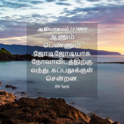 Picture 04 - ஆதியாகமம் 7:9 TAMIRV - ஆணும் பெண்ணும் - Bible Verse Picture