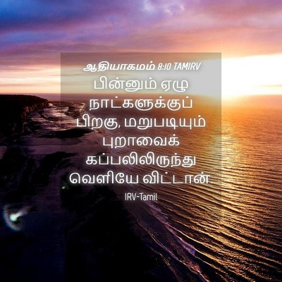 Picture 04 - ஆதியாகமம் 8:10 TAMIRV - பின்னும் ஏழு - Bible Verse Picture