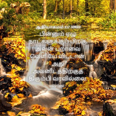 Picture 04 - ஆதியாகமம் 8:12 TAMIRV - பின்னும் ஏழு - Bible Verse Picture