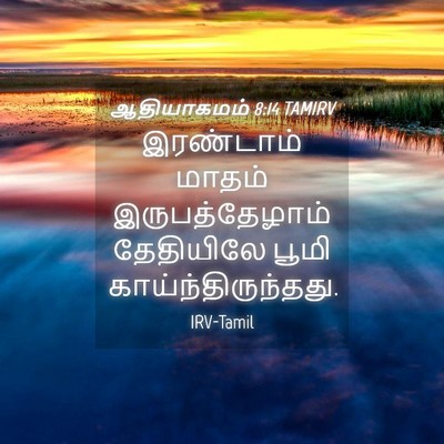 Picture 04 - ஆதியாகமம் 8:14 TAMIRV - இரண்டாம் மாதம் - Bible Verse Picture