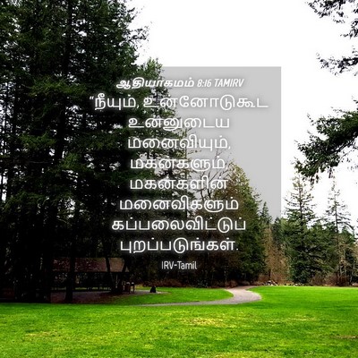 Picture 04 - ஆதியாகமம் 8:16 TAMIRV - “நீயும், - Bible Verse Picture