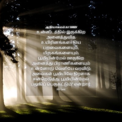 Picture 04 - ஆதியாகமம் 8:17 TAMIRV - உன்னிடத்தில் - Bible Verse Picture