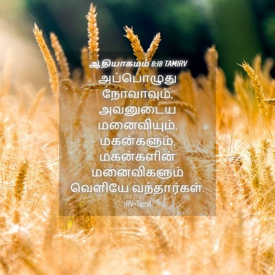 Picture 04 - ஆதியாகமம் 8:18 TAMIRV - அப்பொழுது - Bible Verse Picture