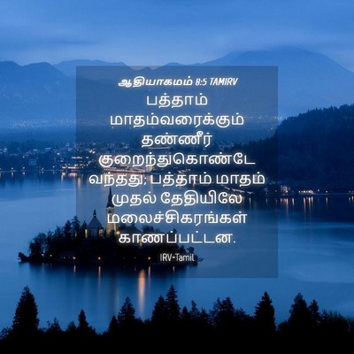 Picture 04 - ஆதியாகமம் 8:5 TAMIRV - பத்தாம் - Bible Verse Picture