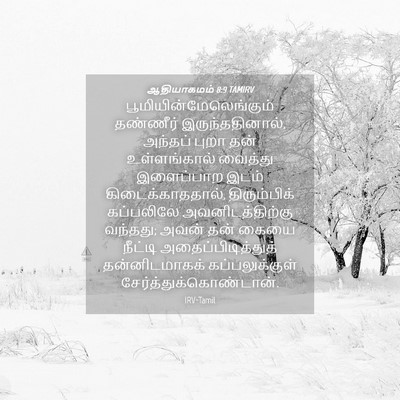 Picture 04 - ஆதியாகமம் 8:9 TAMIRV -  - Bible Verse Picture