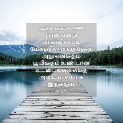 Picture 04 - ஆதியாகமம் 9:13 TAMIRV - நான் எனது - Bible Verse Picture