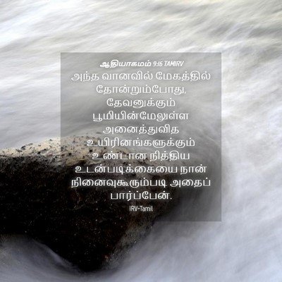 Picture 04 - ஆதியாகமம் 9:16 TAMIRV - அந்த வானவில் - Bible Verse Picture