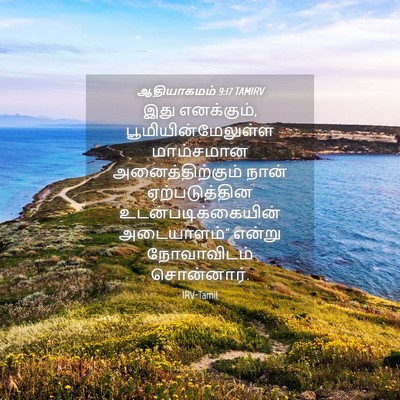 Picture 04 - ஆதியாகமம் 9:17 TAMIRV - இது எனக்கும், - Bible Verse Picture